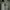 Montbell Gorpcore Track jacket Pria green photo 5