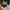Montbell Gorpcore Track jacket Pria green photo 6