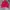 Polo Ralph Lauren Casual Harrington jacket Pria red photo 4