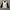CALVIN KLEIN SCUBA SLEEVE QUILTED/JAKET RUNNING CALVINKLEIN photo 2