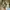 Gorpcore Track jacket Pria tan photo 7