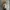 Gorpcore Track jacket Pria tan photo 2