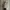 Gorpcore Track jacket Pria tan photo 1