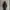 Nike ACG Gorpcore Track jacket Pria black photo 1