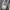 Converse Chuck 70's High photo 8