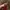 Miu miu tote bag photo 3