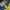 MLB Milwaukee Brewers Baseball Cap photo 5