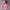 2000's Heavyweight Pink Salmon Blank Boxy Hoodie photo 2