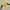 Streetwear T-shirt Pria multicolor yellow photo 2
