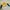 Streetwear T-shirt Pria multicolor yellow photo 1