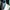 kemeja branded valntn branded viscose size XXXL photo 8
