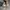 Vans Authentic Chekerboard Hemp Original Guaranted 100% photo 5