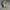 Vans Authentic Chekerboard Hemp Original Guaranted 100% photo 4
