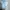 The North Face Gorpcore Sneakers Pria white tan photo 4