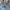 OshKosh Vintage Dungaree Kids blue photo 3