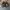 Nike Casual Track jacket Pria blue yellow photo 1