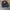 Nike Casual Track jacket Pria blue yellow photo 4