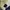 SHIPS JET BLUE DENIM | kode 111 photo 7