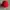 red kangol bucket hat photo 2