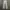 Burberry Avant Garde Skirt Wanita white photo 1