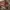 VINTAGE AOP JACKET RARE ITEM photo 5