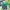 Polo Ralph Lauren Casual Polo shirt Pria green navy photo 1