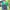 Polo Ralph Lauren Casual Polo Shirt Pria Green Navy