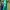Polo Ralph Lauren Casual Polo shirt Pria green navy photo 2