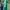 Polo Ralph Lauren Casual Polo Shirt Pria Green Navy