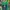 Polo Ralph Lauren Casual Polo shirt Pria green navy photo 3