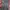 field core bandana Paisley cargo pants photo 6