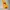 Eider Gorpcore Windbreaker Pria orange yellow photo 1