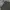 Celana pendek nb new balance grey relaxed photo 4
