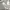 HOODIE ADIDAS 3FOIL LOGO GREY photo 4