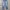 Vintage Levi’s SilverTab Baggy Pant Jeans 00s Mexico photo 3