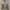 Vintage levis 527 Bootcut jeans pants photo 7