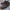 Timberland Abington Oxford Classic Leather Shoes Vibram

