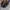 Miu Miu Vitello Lux Navy Bow Satchel Bag Original photo 7