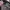 Marc By Marc Jacobs Borse Grigio Tote Bag Original photo 9