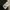 Reebok Sportswear Windbreaker Pria white black photo 6