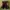 Venum Neo Mixed Martial Arts MMA Fight Jim Miller Shorts 35 photo 3