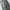 BEAMS MULTIPOCKET MILITARY CARGO PANT photo 6