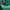 Adidas boston celtics ray allen 2010 photo 5