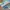 Adidas Indie Casual Sneakers Pria blue yellow photo 2