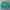 Casual Sweatshirt Pria green photo 1