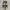 Adidas Indie Casual Sneakers Pria black yellow photo 3