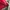 Nike Sportswear Jersey Pria white red photo 5