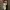 Top Of Shoulder Brand Original Marines photo 2