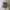 Ryse & Shyne Reveal Crop Sport Bra photo 2