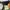 Uniform Bridge Military Cargo Shorts photo 9
